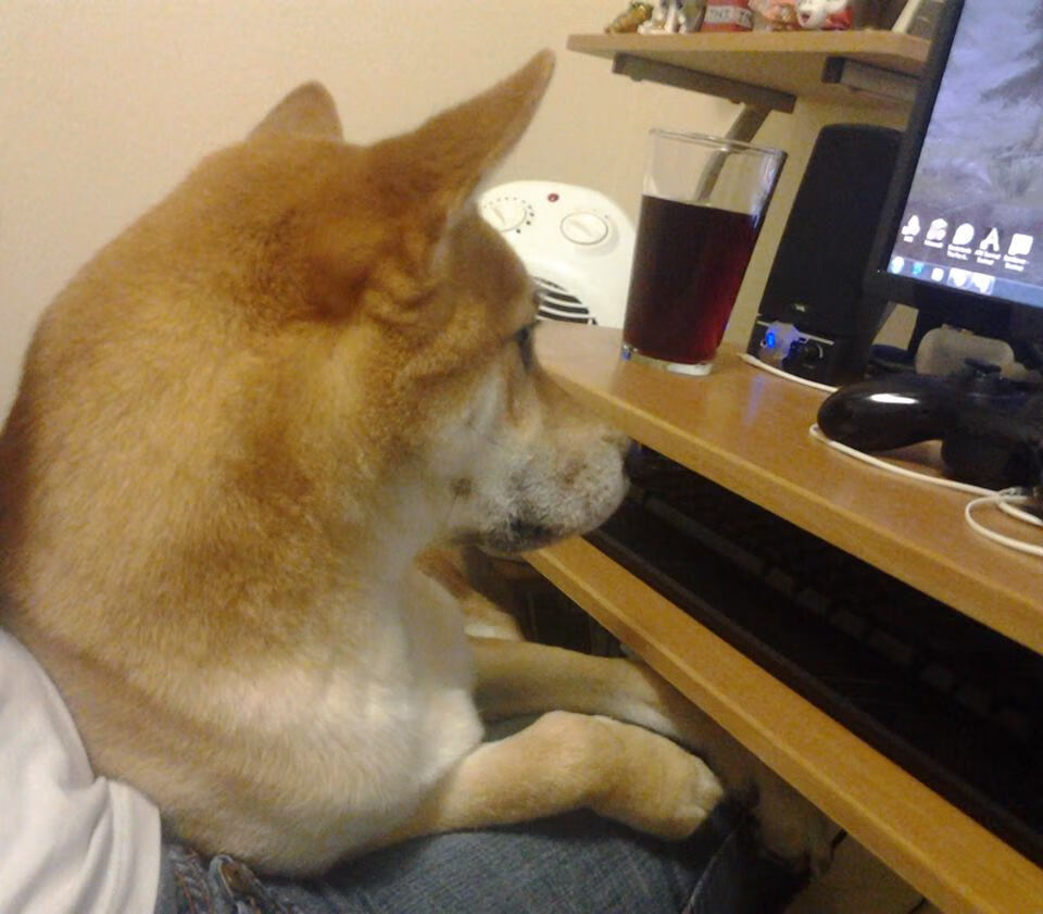 爱游戏电竞-伊朗球员用毯子盖住替补席，被误认为冬奥冰壶队，伊朗杯是什么